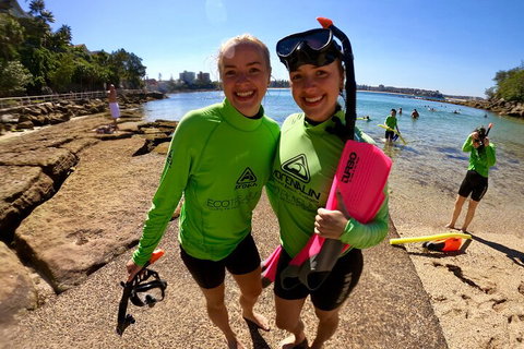 Manly Snorkel Trip And Nature Walk With Local Guide - Tourism TAS 1