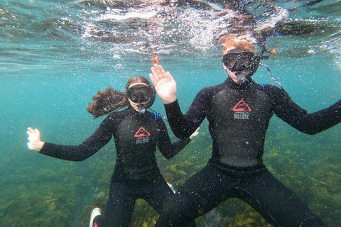Manly Snorkel Trip And Nature Walk With Local Guide - Tourism TAS 3