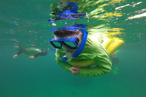 Manly Snorkel Trip And Nature Walk With Local Guide - Tourism TAS 5