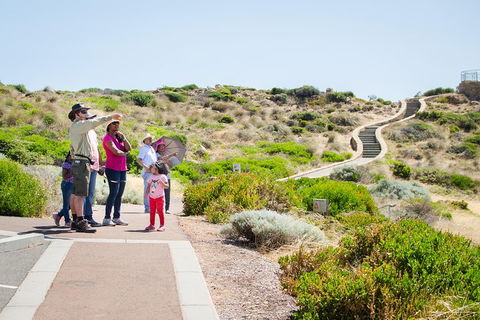 Margaret River Coastal And Wildlife Eco Trip From Busselton Or Dunsborough - Tourism TAS 0