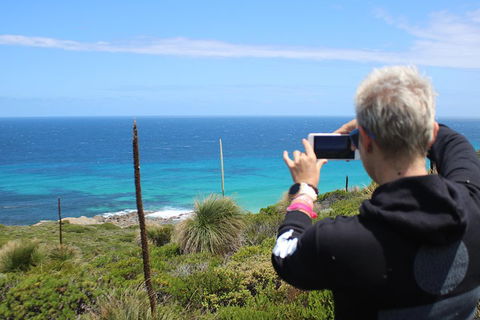 Margaret River Coastal And Wildlife Eco Trip From Busselton Or Dunsborough - Tourism TAS 3