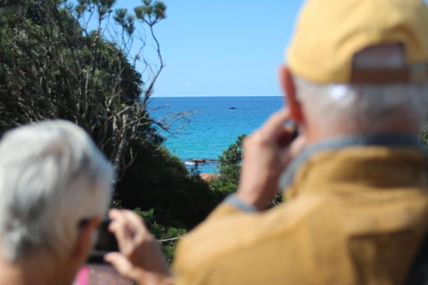 Margaret River Coastal And Wildlife Eco Trip From Busselton Or Dunsborough - Tourism TAS 5